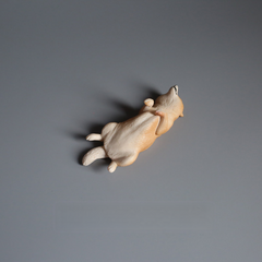 Lying Flat Dog