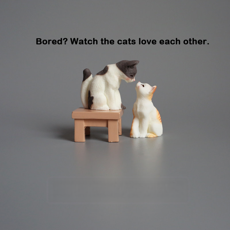 Mini Matchmaking Cats