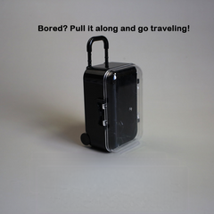 Mini Suitcase
